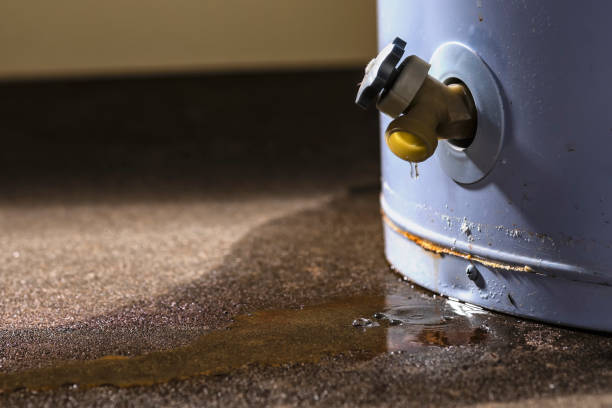Best Water damage restoration company  in Decatur, MS