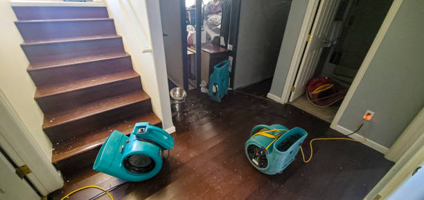 Best Sewage cleanup and water damage restoration  in Decatur, MS