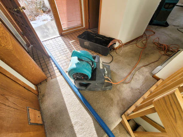 Best Water damage restoration cost  in Decatur, MS