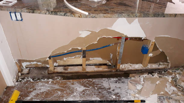 Best Flooded house restoration  in Decatur, MS