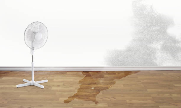 Best Water damage restoration near me  in Decatur, MS