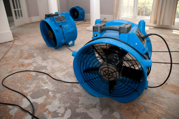 Best 24-hour water damage restoration  in Decatur, MS