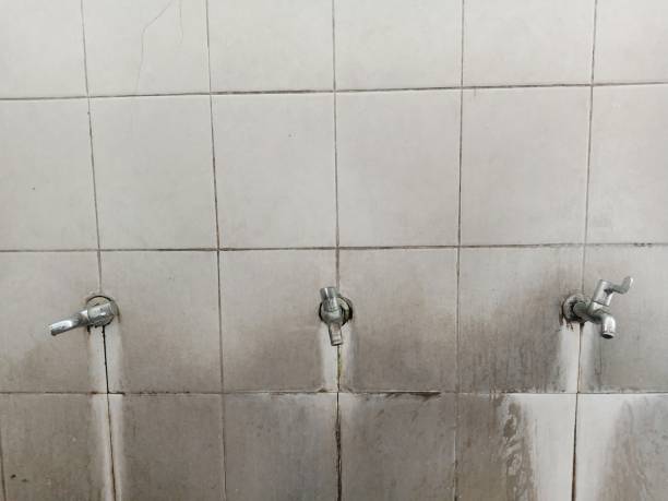 Best Local water damage restoration  in Decatur, MS