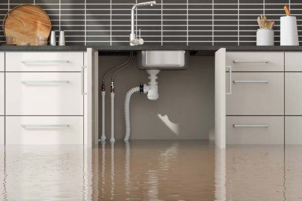 Best Basement water damage restoration  in Decatur, MS