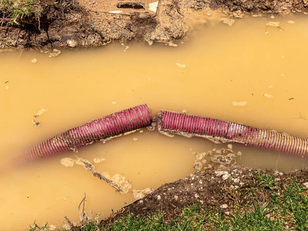 Best Water damage contractors near me  in Decatur, MS