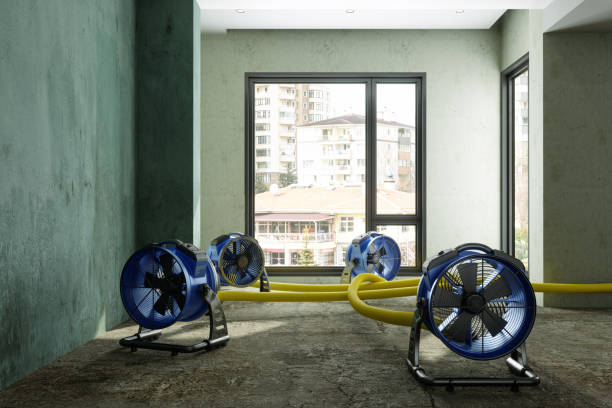 Best Ceiling water damage repair  in Decatur, MS