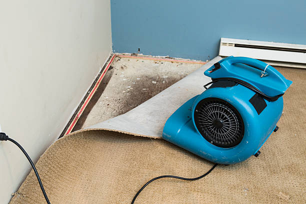 Best Water damage restoration near me  in Decatur, MS